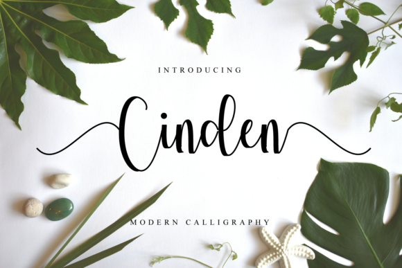 Cinden: A Modern Script Font for Web Design