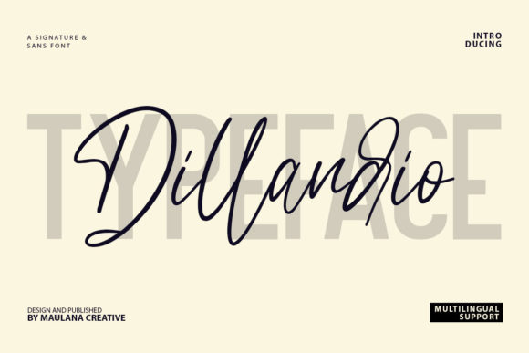 Dillandio Typeface Review for Makers