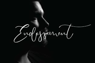 Endossement Font Review for Makers
