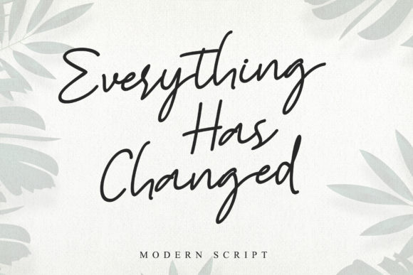 Everything Has Changed Font for Small Business Branding