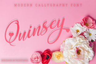 Quinsey Font: Elevate Your Brand Identity